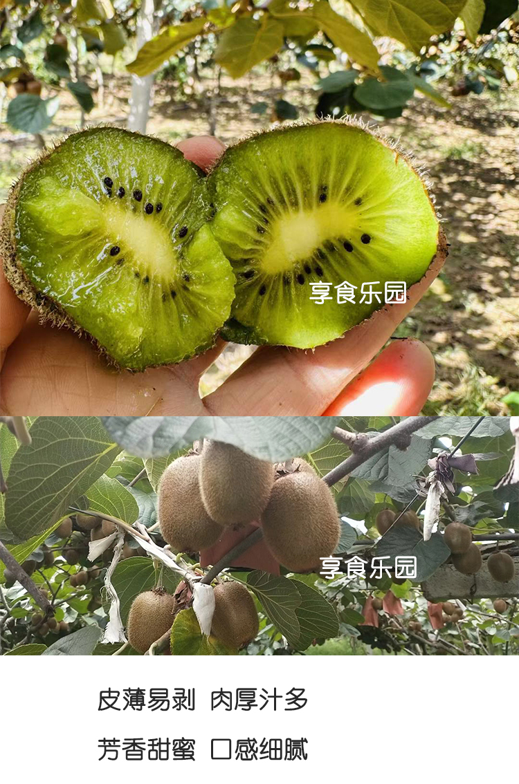 O1CN01ajwqqR1Pw4ze69roc_!!2463591904.jpg