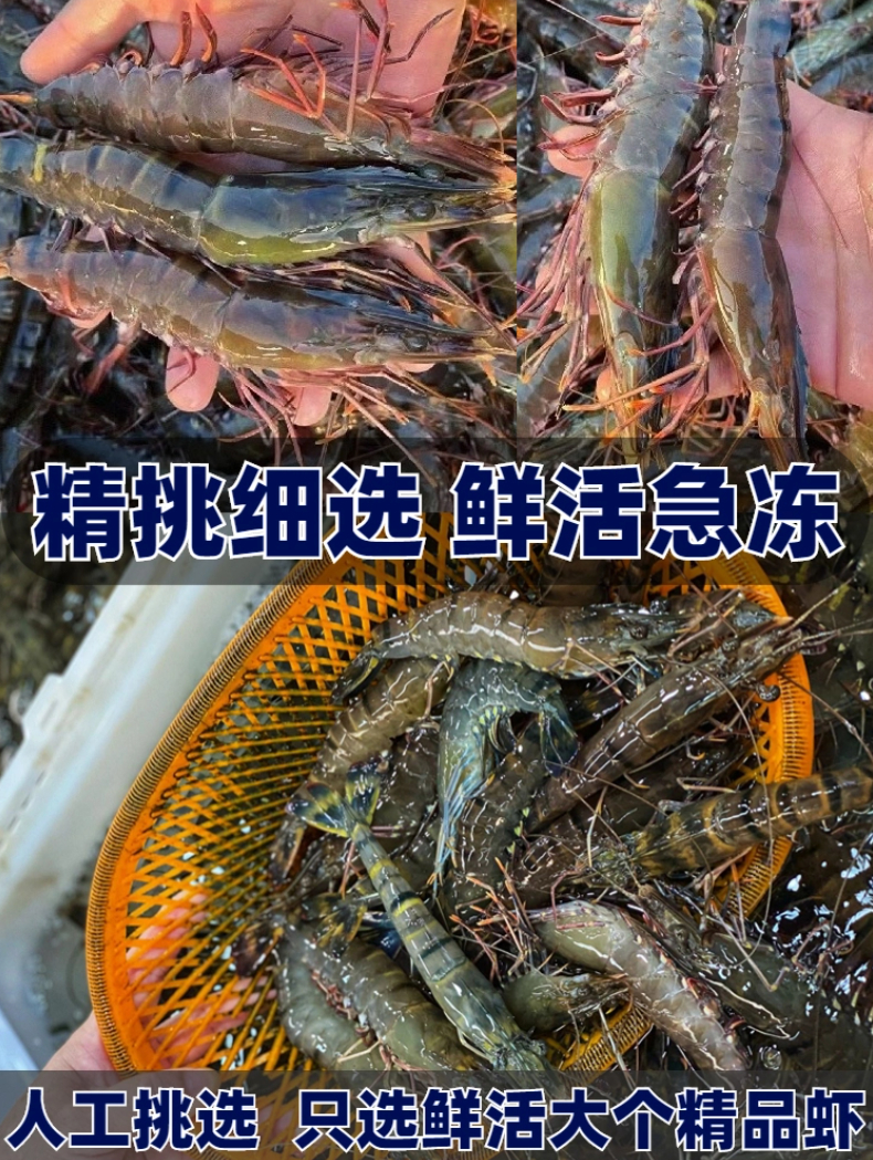 O1CN011yTjbL1ilWZbF45oJ_!!3494114453.jpg