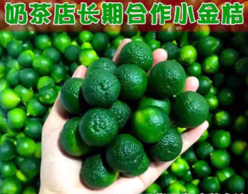 特价新鲜水果青金桔海南小青桔金桔柠檬主打奶茶店2斤5斤包邮